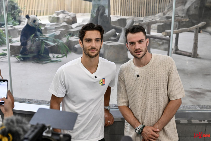 也需要全力 也需要全力