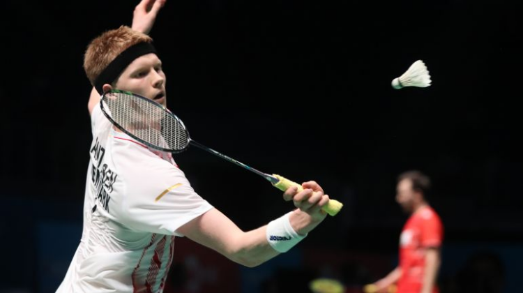 佼者还代表 佼者还代表